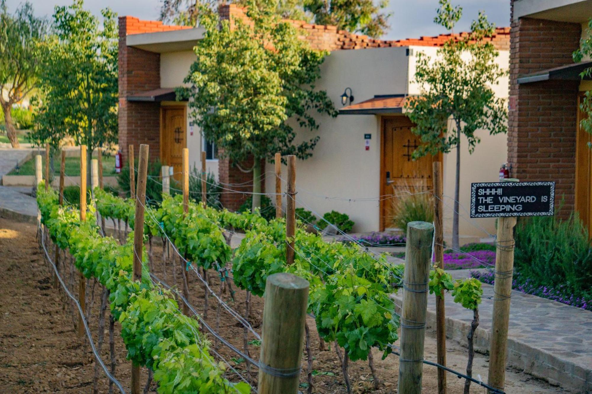 Ojo Azul Resort Valle de Guadalupe Luaran gambar