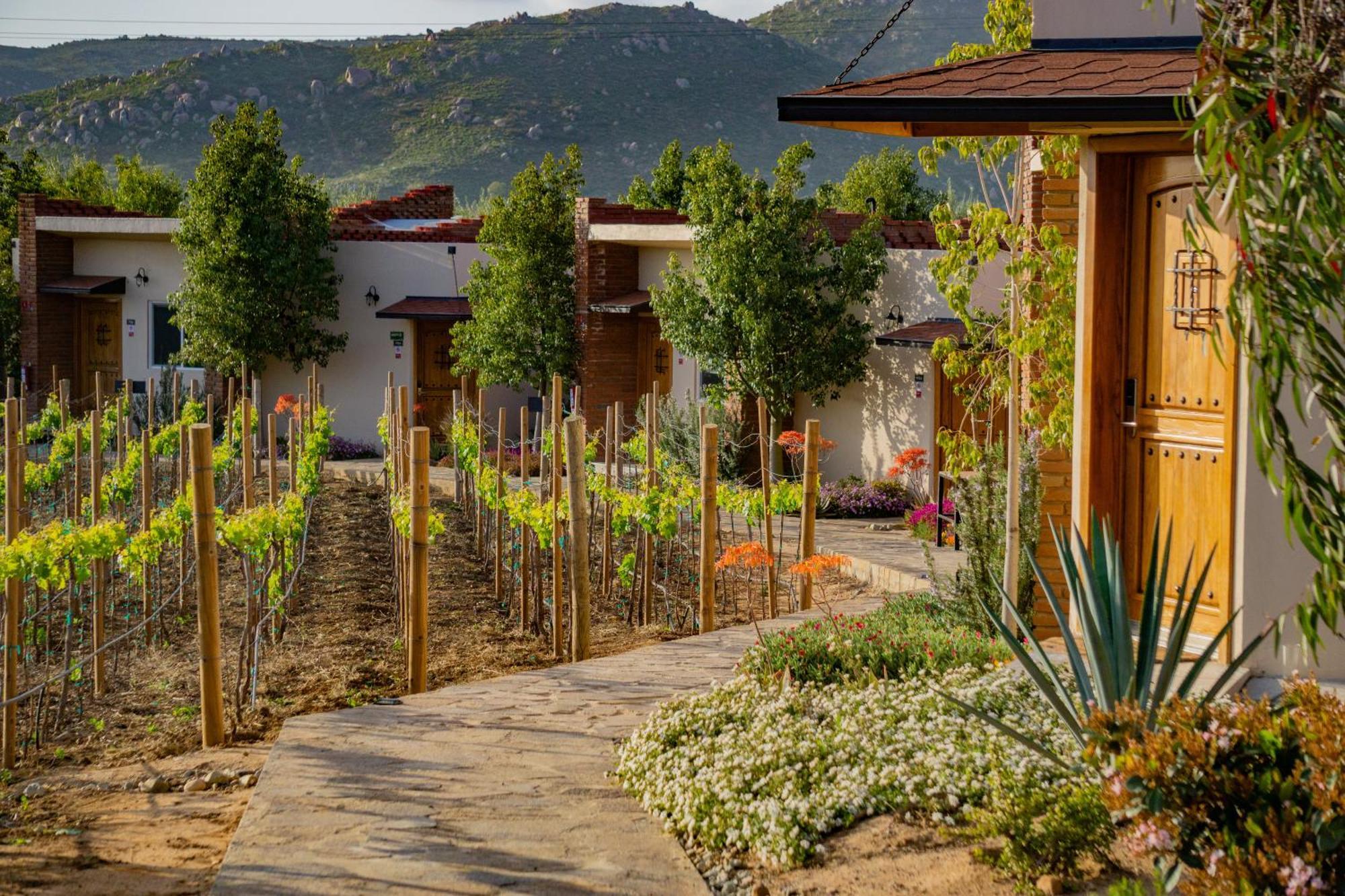 Ojo Azul Resort Valle de Guadalupe Luaran gambar