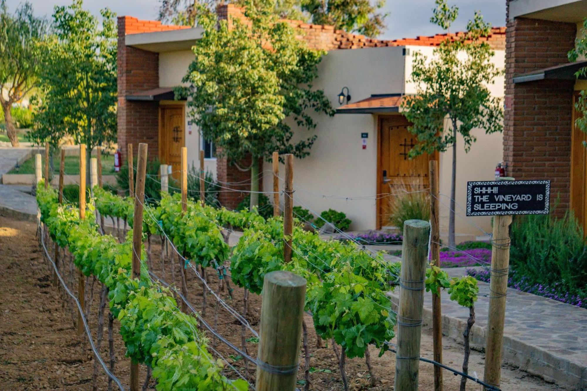 Ojo Azul Resort Valle de Guadalupe Luaran gambar